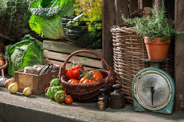 Où assister à un festival de danse traditionnelle en Ouzbékistan : lieux et périodes ?